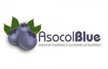Asociación Colombiana de Cultivadores de Blueberries - Tocancipá - Cundinamarca
