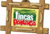 FINCAS PANACA HERRERIA 25