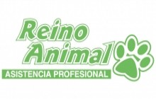 CLÍNICA VETERINARIA REINO ANIMAL - Bucaramanga Teléfono y Dirección -  Clínicas Veterinarias