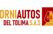 HORNIAUTOS DEL TOLIMA S.A.S., Ibagué - Tolima