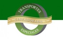 TRANSPORTES ESPECIALES LINEA DORADA S.A.S., Cali