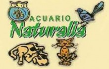 Acuario Naturalia No 1, ITAGUI ANTIOQUIA