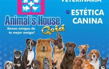 ANIMAL¨S HOUSE GOLD