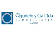 Inmobiliaria Agudelo y Cia. Ltda., Villavicencio - Meta