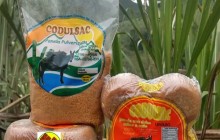 Cooperativa Dulce Sabor de Campo - CODULSAC, Urrao - Antioquia