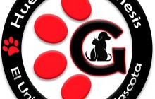 Huellas de Génesis - Accesorios para Mascotas, Soacha - Cundinamarca