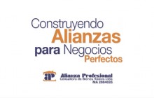 Inmobiliaria Alianza Profesional Consultora de Bienes Raices Ltda., Bogotá