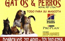 Gatos y Perros Pet Shop - Veterinaria - Royal Pet Ltda., Bogotá
