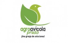 Agroavícola Prado - Bello, Antioquia