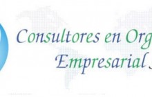 S & S Consultores en Organización Empresarial S.A.S., Ibagué
