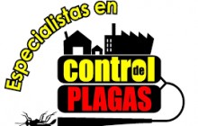 Control de Plagas y Fumigaciones en Villavicencio