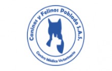 CANINOS Y FELINOS POBLADO S.A.S., Medellín