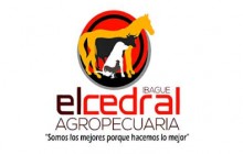 Agropecuaria El Cedral - Ibagué, Tolima