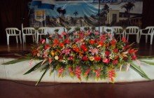 FLORISTERIA MONTE AZUL