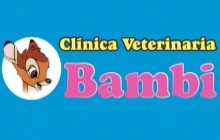 CLÍNICA VETERINARIA BAMBI - Bucaramanga