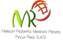 Inmobiliaria Nelson Roberto Mestizo Reyes Finca Raíz S.A.S. , Chía - Cundinamarca