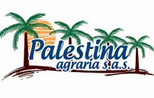 Palestina Agraria S.A.S., SABANA DE TORRES - Santander