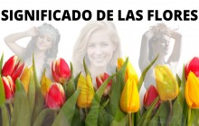 Flores Para Colombia