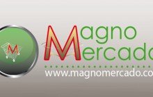 Magnomercado - Sistemas Informáticos y Páginas Web, Azuay - Ecuador