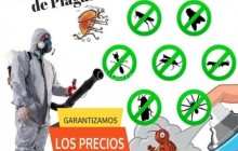 SERVICIO DE FUMIGACION DE PLAGAS EN BOGOTA, PULGAS, ACAROS, CUCARACHAS, RATAS Y RATONES