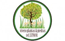 Plantas y Piedras, Pereira - Risaralda