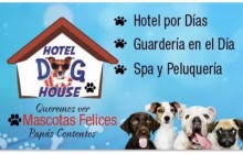 Hotel, Guardería y Spa Canino - Palmira