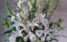 FLORISTERÍA Y VIVERO LA REINA, BUGA