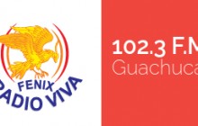 Radio Viva Fenix, Guachucal - Nariño
