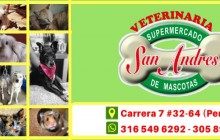 Supermercado de Mascotas y Veterinaria San Andrés, Pereira - Risaralda