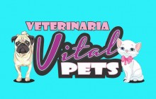  Veterinaria Vital Pets, Medellín - Antioquia