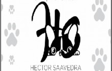 PELUQUERIA CANINA HECTOR SAAVEDRA GOOMING, Granada - Meta