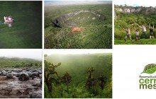 Reserva Ecológica Cerro Mesa – Santa Cruz, Galápagos - Ecuador