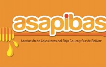 Asapibas, El Bagre - Antioquia