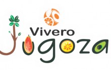 Vivero Jugoza, La Victoria - Valle del Cauca